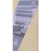 1001 Pkg 5 Kuverts chamois