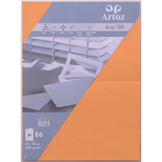 1001 Pkg 5 Karten E6 mango