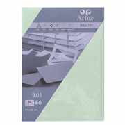 1001 Pkg 5 Kuverts E6 mint