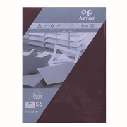 1001 Pkg 5 Kuverts E6 marsala