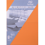 1001 Pkg 5 Karten A5 orange