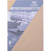 1001 Pkg 5 Karten A5 taupe