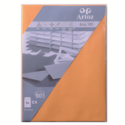 1001 emb. 5 envel. C4 mango
