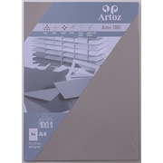1001 Pkg 5 Karten A4 graphit