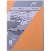 1001 emb. 5 cart. A4 mango