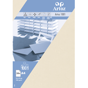 1001 Pkg 5 Bogen A4 chamois