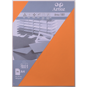 1001 emb. 5 feuilles A4 orange