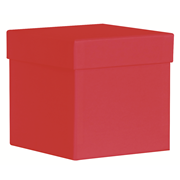 PURE Box L rouge