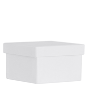 PURE Box XS birch