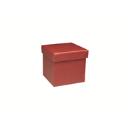 PURE Box XS rubin