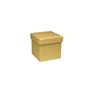 PURE Box XS, gold shine