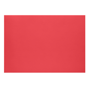 1001 Plano Karton rot