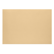1001 Karton A3 baileys