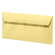 1001 envel. C6/5 chamois