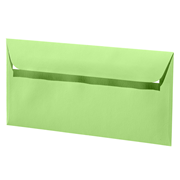 1001 envel. C6/5 vert bouleau