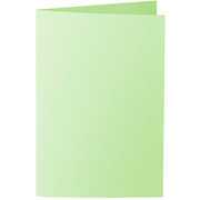 1001 cartes B6 vert bouleau