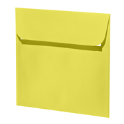 1001 Kuverts qd limette