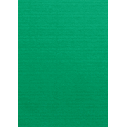 1001 cartes A4 vert sapin