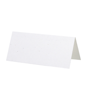 Greenline cartes birch