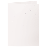 Green Line cartes A5 birch