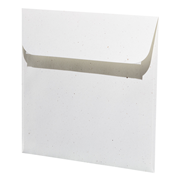 Green Line Kuverts qd birch