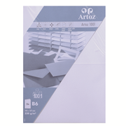 1001 Pkg 5 Karten B6 blütenw.