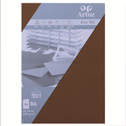 1001 Pkg 5 Karten B6 braun
