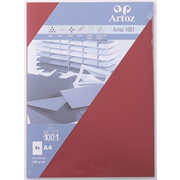 1001 emb. 5 cart. A4 bordeaux
