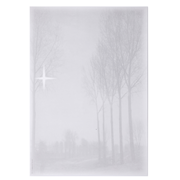 Designpapier: Trauer, Birken