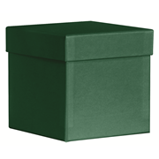 PURE Box L racing green