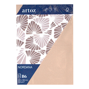 Nordana Pkg5 carte B6 rose glow