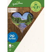Green Line Pkg 5 Karten A5 tort.