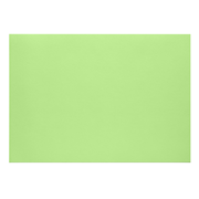 1001 carton plano vert bouleau