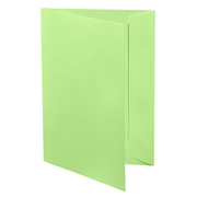 1001 presenta vert bouleau