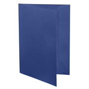 1001 presenta classic blue