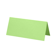 1001 cartes de table vert bouleau