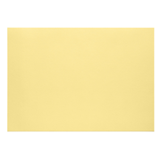 1001 Karton A3 chamois
