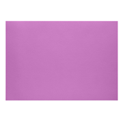 1001 Karton A3 holunder