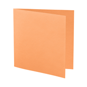 1001 cartes carr. mango