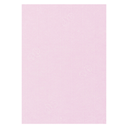 1001 Karten A4 kirschblüte