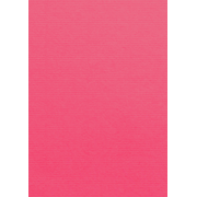 1001 Karten A4 fuchsia