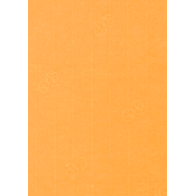 1001 Karten A4 mango
