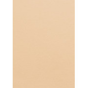 1001 Karten A4 baileys