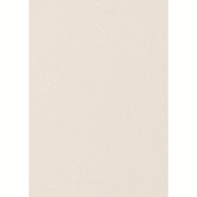 1001 Bogen A4 ivory