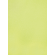 1001 feuilles A4 lime