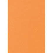 1001 Bogen A4 orange