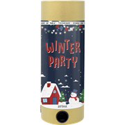 Winter Party DF