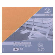 1001 Pkg 5 Tischk. mango