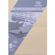 1001 emb. 5 cart. B6 chamois