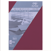 1001 Pkg 5 Karten B6 weinrot